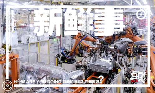 走進(jìn)上汽大眾長(zhǎng)沙工廠 車媒老鳥的圓夢(mèng)之旅，探秘斯柯達(dá)泥地打樁機(jī)般完美品質(zhì)