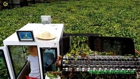 水面清道夫 全自動垃圾打撈船在景區(qū)水域的革新應用